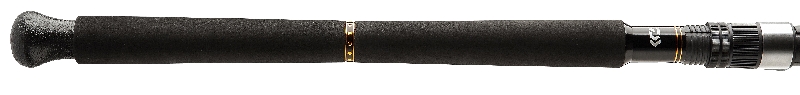 Prut Daiwa BG Boat 2.40m 150-400g