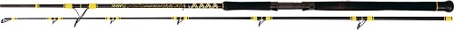 Prut Black Cat Passion Pro DX Boat 2,5m 400g