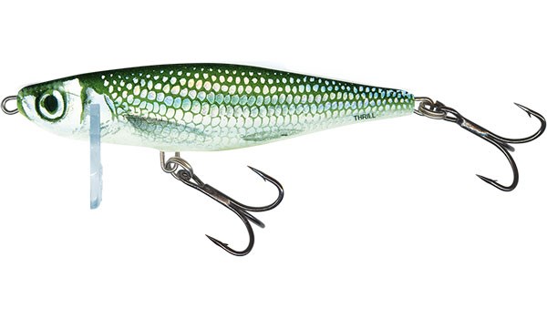 Salmo Wobler Thrill Sinking Holo Bleak-7 cm 13 g