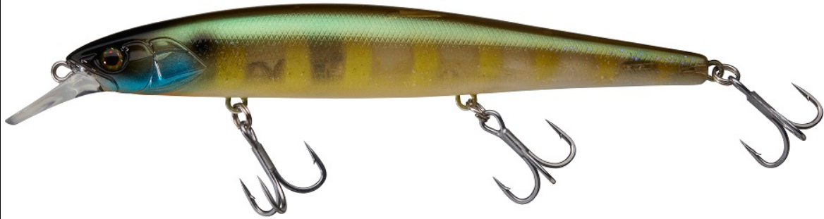 ILLEX Mag Squad 16cm SP Etto Noike Gill