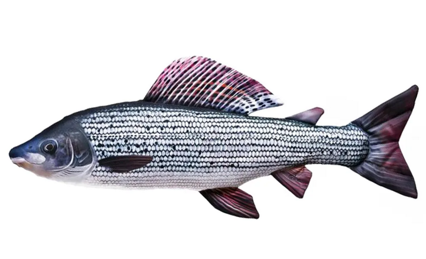 Gaby Polštář Lipan 65 cm 