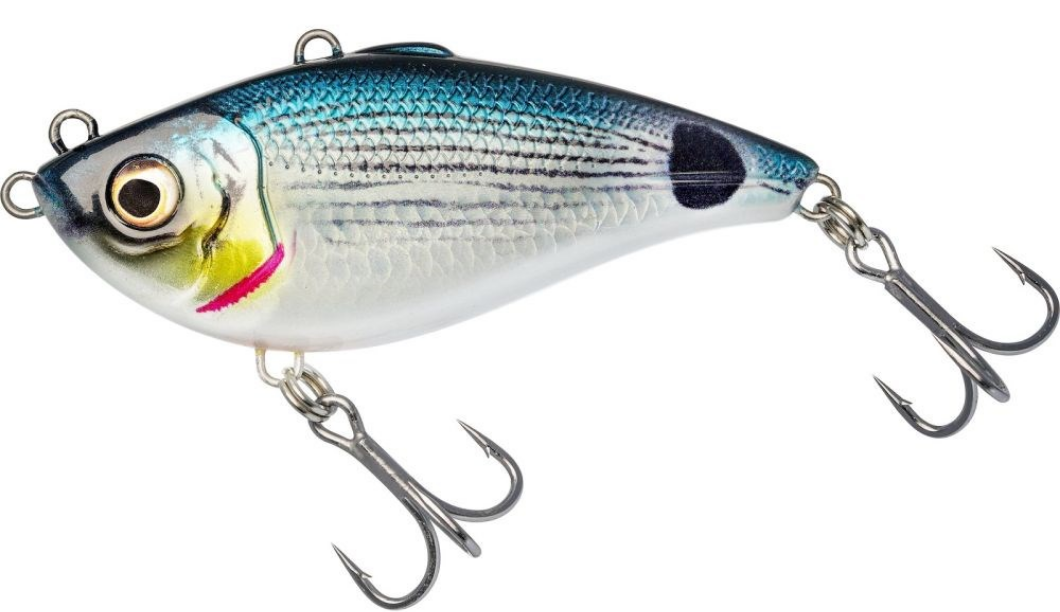 Westin Wobler Buzzvibe 10 cm 57 g - Saddled Bream