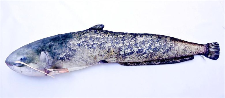 GABY Polštář Sumec 65cm