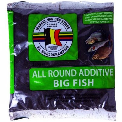 MVDE POSILOVAČ BIG FISH 250G