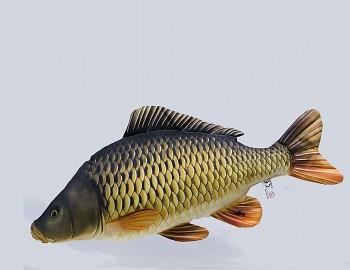 Gaby polštář Kapr šupináč - 64 cm