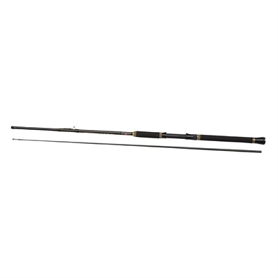 Penn Rybářský Prut Regiment III Inner Boat 244cm 20-30lb 2díl