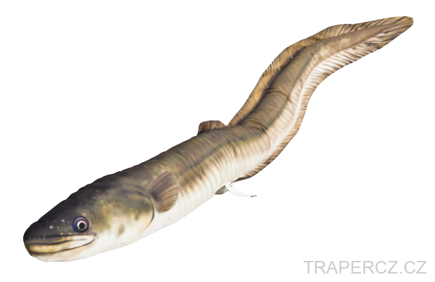  Gaby Polštář Úhoř říční 115 cm