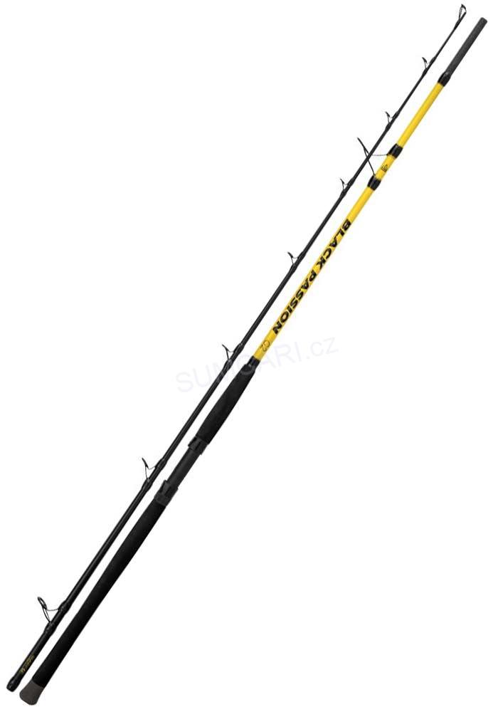 Black Cat prut BLACK Passion G2 Allround 2.70m 600g, 2 díl