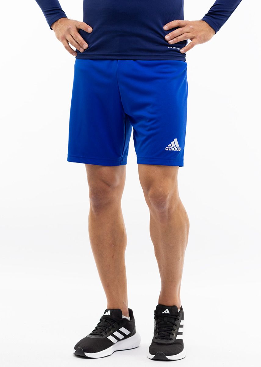 pánské šortky kraťasy ADIDAS - ROYBLU