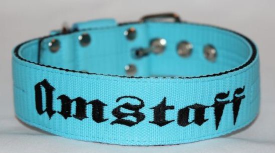 Obojek Amstaff š.5cm, tyrkysový,černé písmo