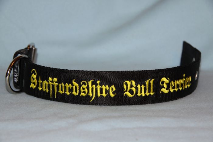 Obojek SBT ,š.4cm.- různé barvy