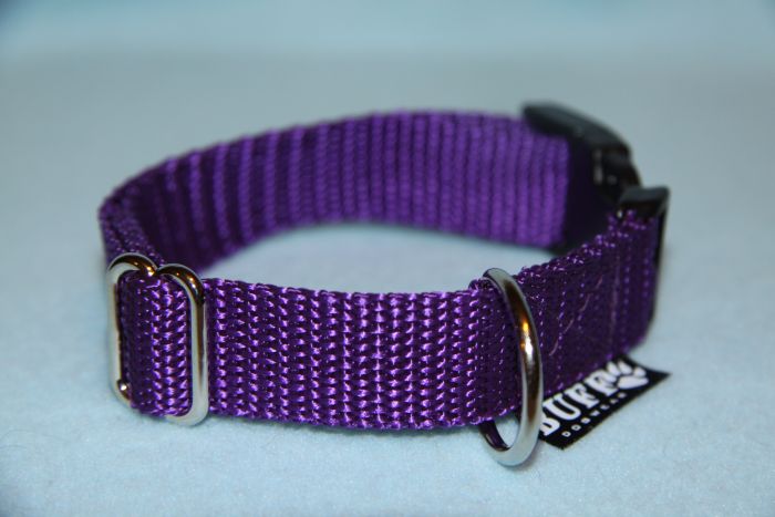 Nylonový obojek 2 cm,plast spona-fialový