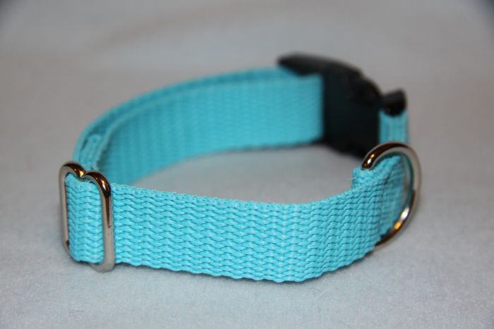 Nylonový obojek 2 cm,plast spona-tyrkys