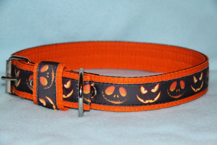 Nylonový obojek š.3 cm-Halloween orange