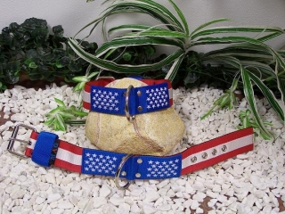 Americká edice,klasický,š.4cm