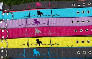 Obojek "Staffbull EKG" š.4cm + fleece,různé barvy