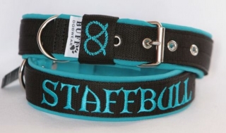 Obojek Staffbull š.3cm černý+tyrkysový softshell