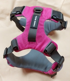 Light Sport postroj Canis Bull vel. XS - pink