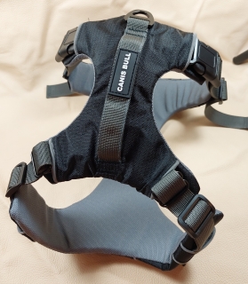 Light Sport postroj Canis Bull vel. M - black
