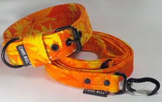 Crazy sada - Oranžový list - obojek 4cm, vodítko 1,5m