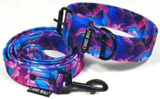 Crazy sada - Fialový abstrakt - obojek 4cm, vodítko 1,5m