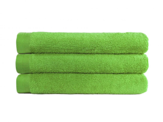 Froté ručník Elitery světle zelený 50x100 cm