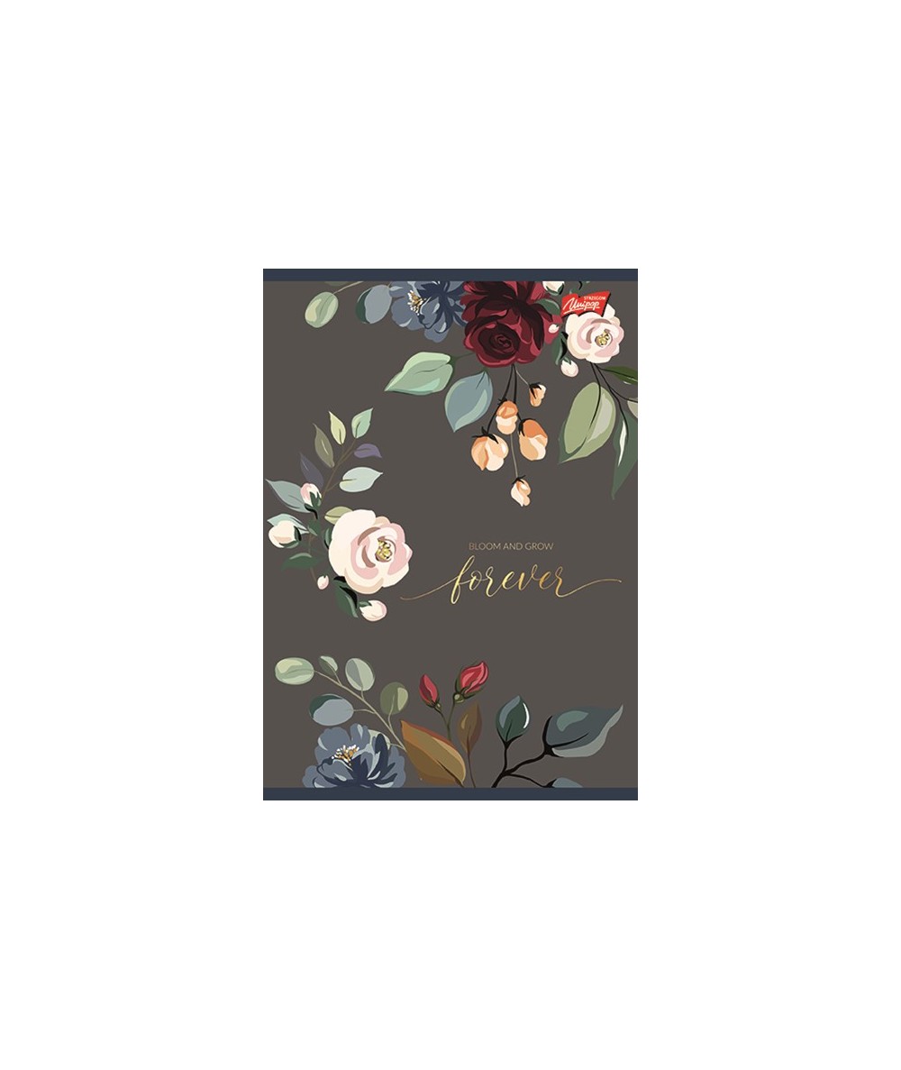 Sešit 564 linkovaný, 60 listů ROMANTIC šedý