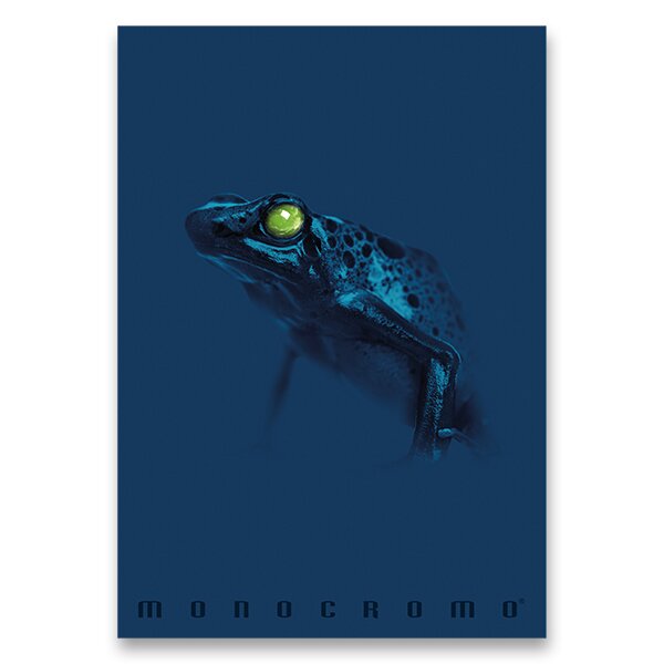ŠKOLNÍ SEŠIT MONOCROMO BLUE - A4, LINKOVANÝ, 40 LISTŮ žába