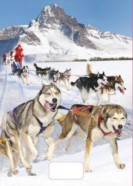 Sešit 544 s 3D,  A5. linkovaný husky