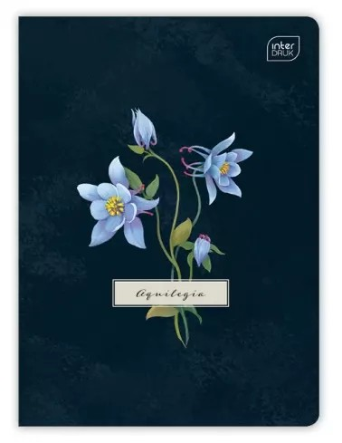 Sešit 564, A5, 60 listů, linkovaný Hybrid Fiori Blue