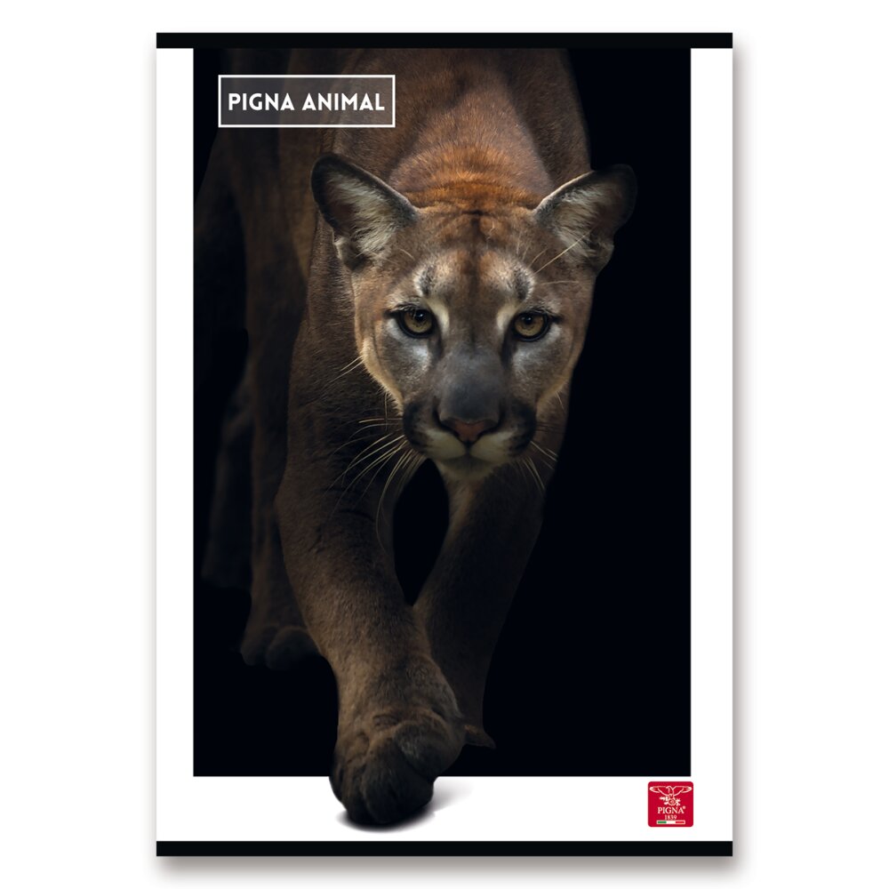 Sešit Pigna Animal 444 - A4, linkovaný, 40 listů Puma