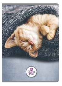 Sešit A5 96 listů, čtverečkovaný The Sweet Pets kotě