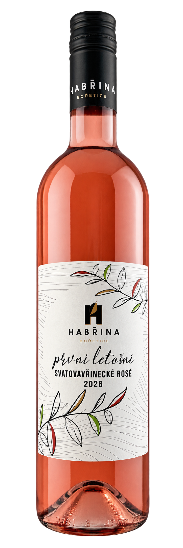První letošní Svatovavřinecké rosé 2026 - polosuché