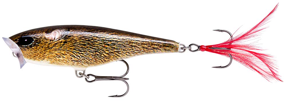 SKITTER POP 7CM