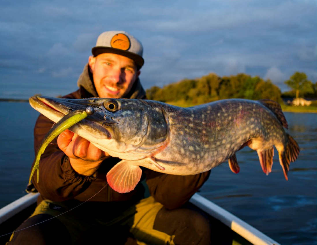 ZECK GUMOVÉ NÁSTRAHY WILSON 4