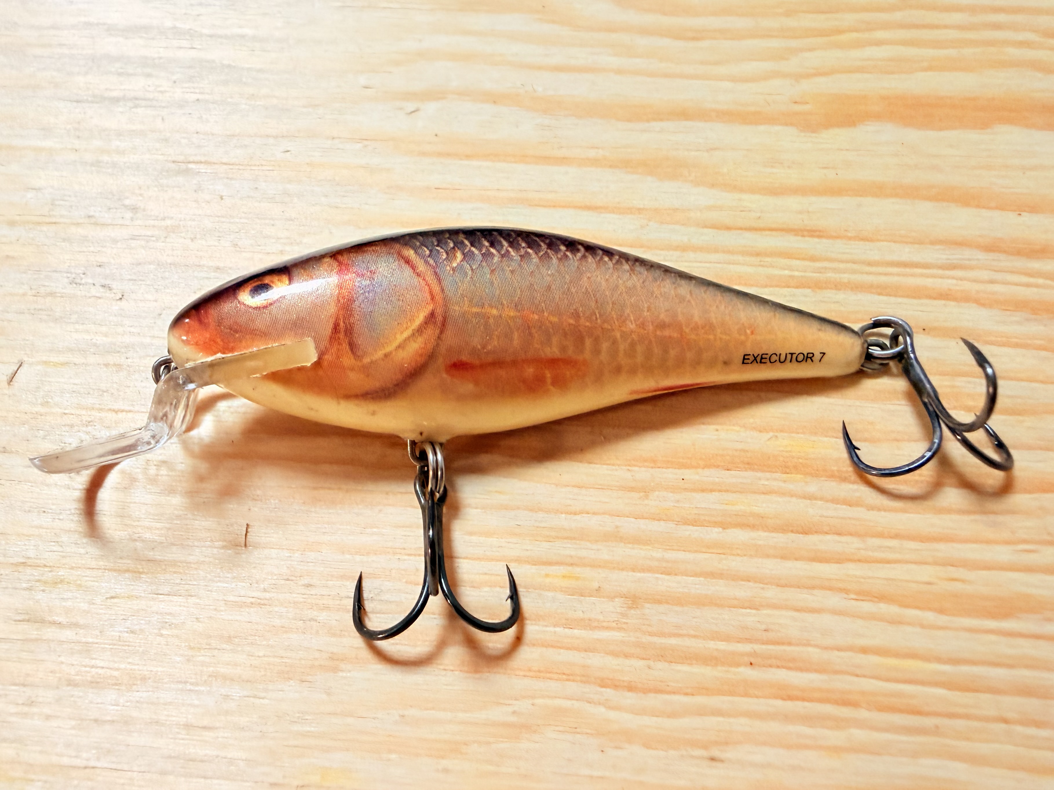 WOBLER SALMO EXECUTOR RR 7F / 7cm / 8g 