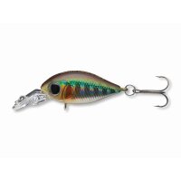 Wobler Daiwa Tournament Rolling Crank JR. 27F-MR Kibinago