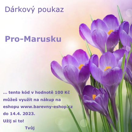 Dárkový poukaz