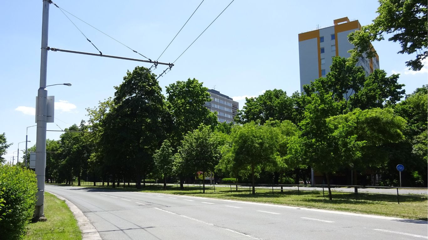 Stávající stav stromořadí ve Střelecké ulici Hradec Králové