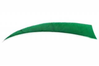 Krocaní letka pravá (RW) - délka 3" - zelená