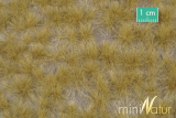 miniNatur travní drny extradlouhé blistr - pozdní podzim blistr