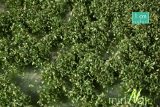 miniNatur travní drny olistěné -  léto blistr