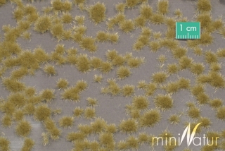 miniNatur travní drny krátké - pozdní podzim blistr